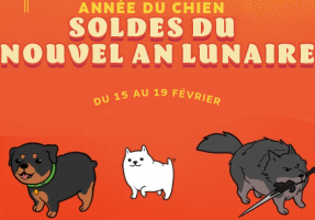 Soldes du Nouvel An Lunaire : Jusqu'à 90% de Réduction