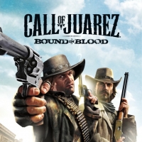 Call of Juarez : Bound in Blood