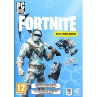 Fortnite : Pack Froid Éternel + Bon de Réduction Wonderbox de 15€ 