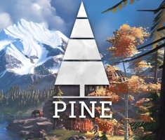 Pine