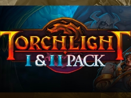 Torchlight I & II