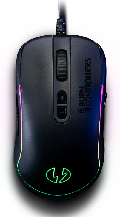 Souris Burn Bcm1