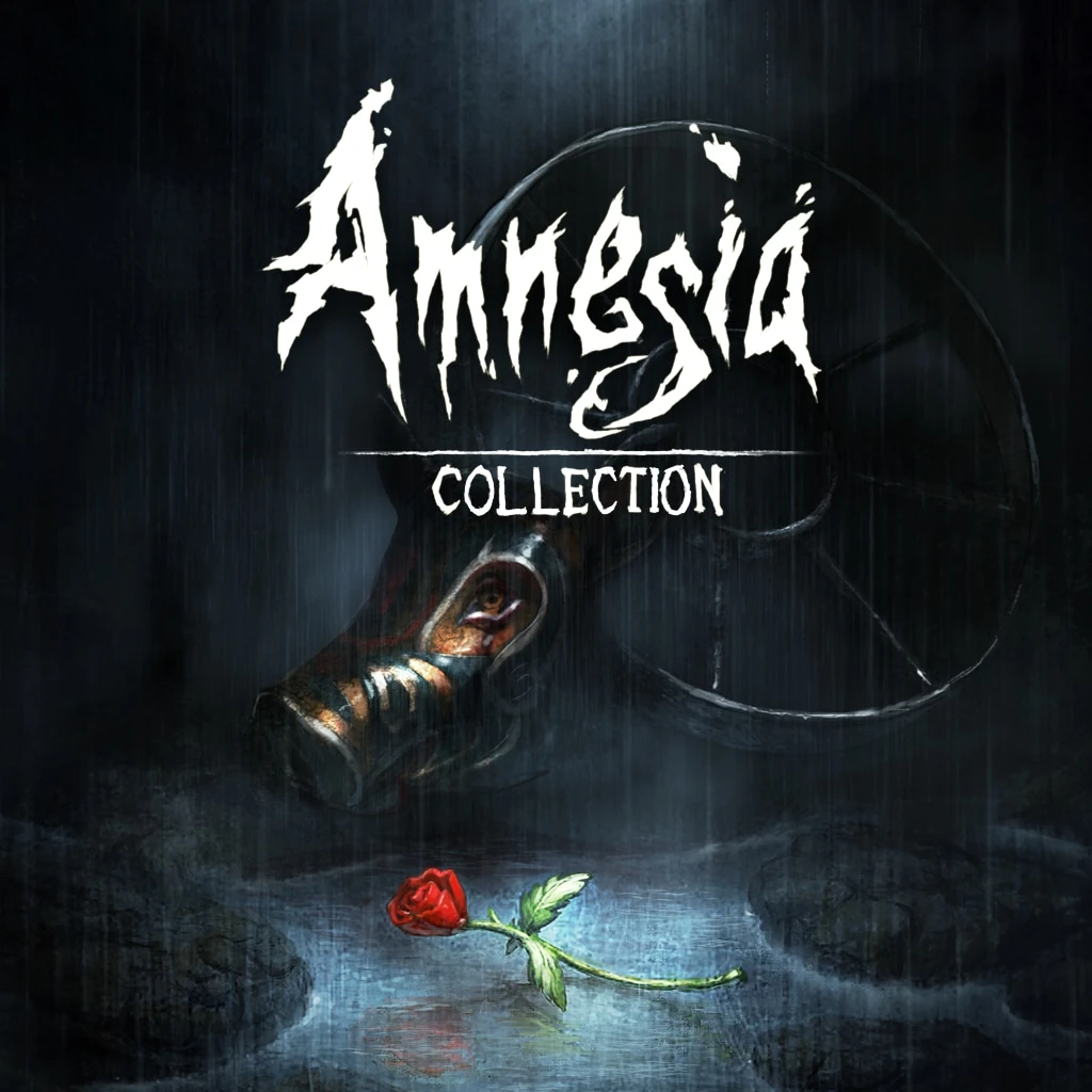 Amnesia : Collection